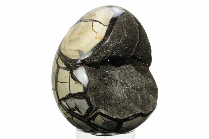 Septarian Dragon Egg Geode - Black Crystals #241116